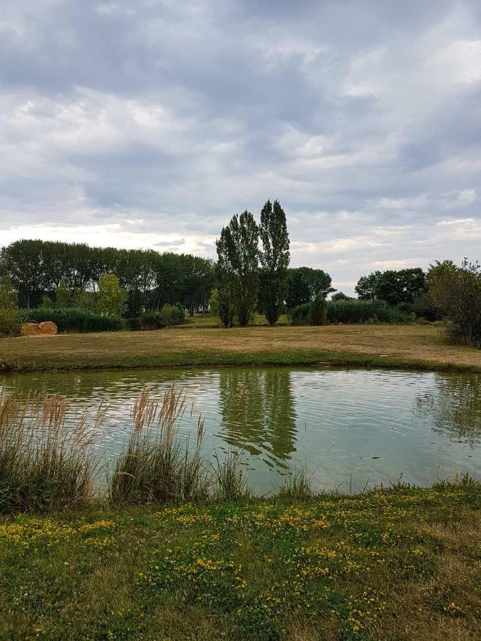 Eliza 1 Birdland Golf Apartman Bük Extérieur photo